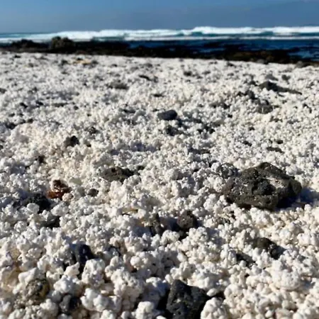 Tamarindo Pura Vida - Relax Y Vistas Al Mar * Corralejo