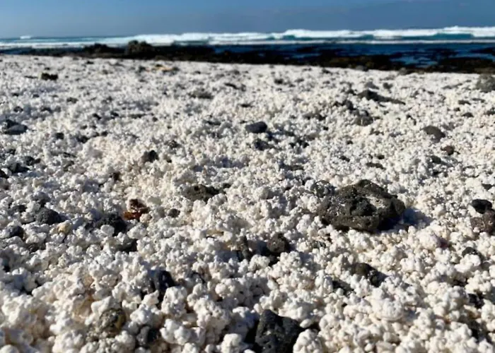 Tamarindo Pura Vida - Relax Y Vistas Al Mar * コラレホ