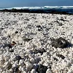 Tamarindo Pura Vida - Relax Y Vistas Al Mar * 科拉雷侯