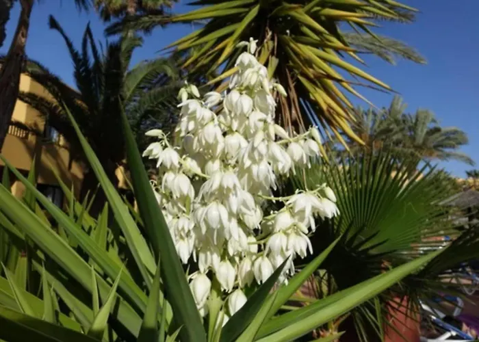 Tamarindo Pura Vida - Relax Y Vistas Al Mar Apartament Corralejo