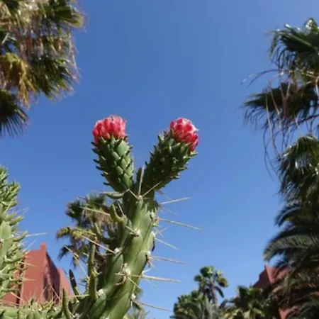 Tamarindo Pura Vida - Relax Y Vistas Al Mar דירה *