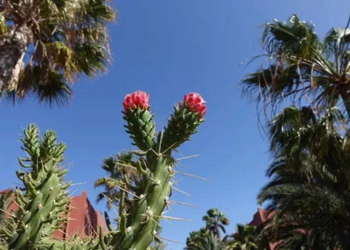 Tamarindo Pura Vida - Relax Y Vistas Al Mar דירה *
